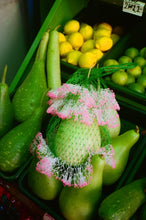 Load image into Gallery viewer, Tiny Dancer